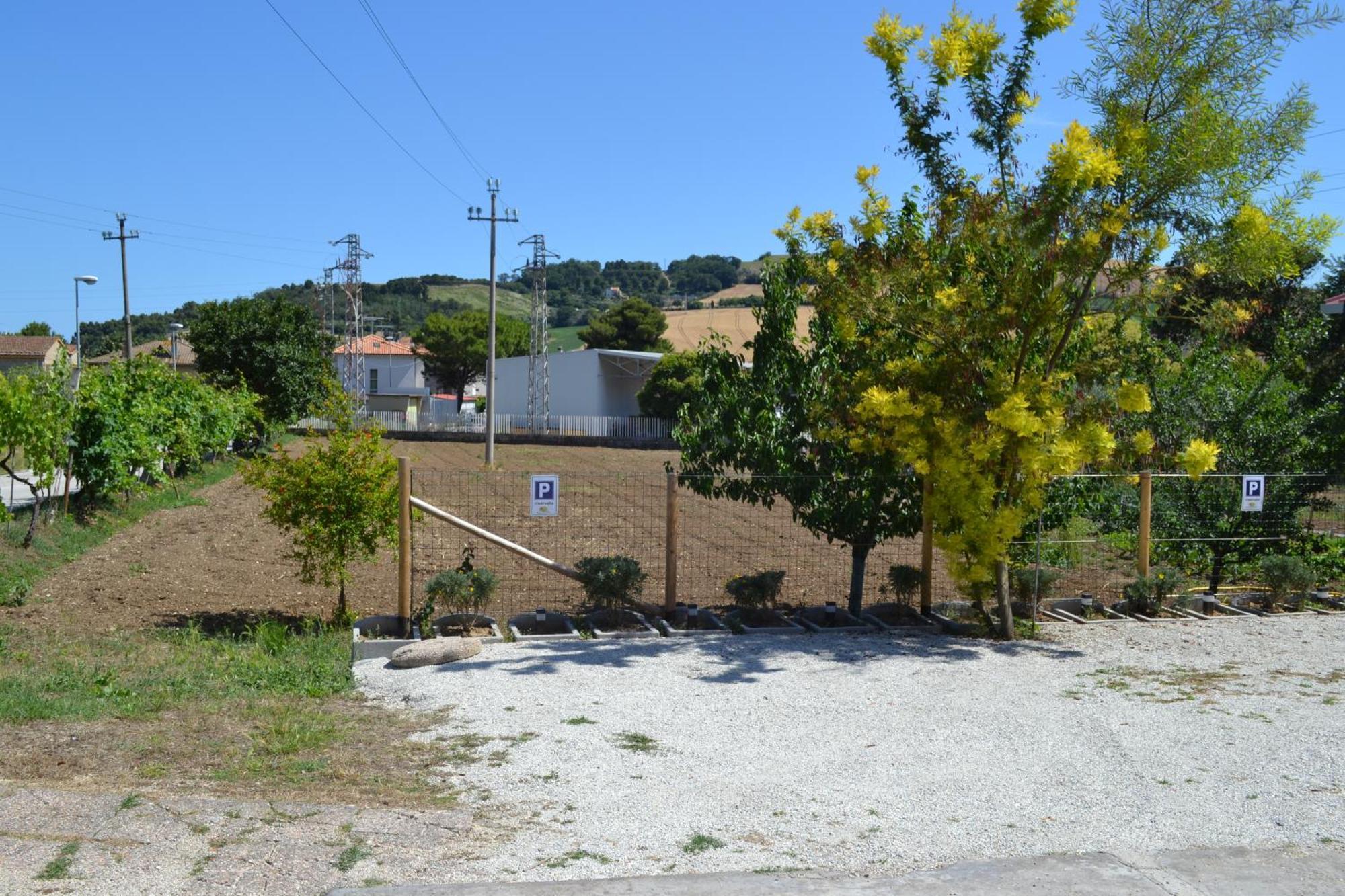 Casa Degli Ulivi - Apartment B Porto San Giorgio Zewnętrze zdjęcie